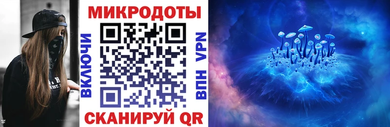 Галлюциногенные грибы Psilocybe  Белогорск 